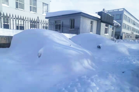 211109 - ��ѩ���Z6���������ſ�_����.jpg